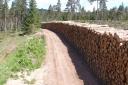 Timber supply chain open for business this month, CTI survey says
