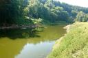 The River Wye at Redbrook in early June - the River Wye has turned green because of algal blooms