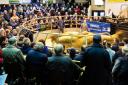 Strong demand seen for stores as many marts hold their last sales of the year