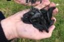 Biochar is biomass heated in the absence of oxygen to make charcoal