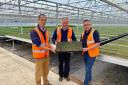Simon Baynes MP with Ben Goh and Mark O’Neill in the new forest greenhouse at Maelor Forest Nurseries.
