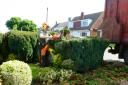 Hedges remain a popular feature of the suburban environment