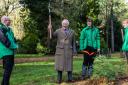 King Charles joined staff to plant the Wollemi pine this week