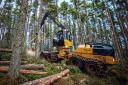 The report considered the future of public money for forestry