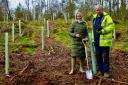 The first 600 saplings will be planted during April, mainly sycamore along with oak, rowan, hazel and other native trees, with hundreds more to follow in the coming months.