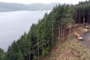 The long-running A82 steep-felling programme has posed significant challenges to forestry bosses