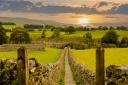 The Countryside Alliance are urging members of the public to back British farmers by using their new lobbying tool.