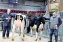 Richard Gawthorp, left, with his debut Craven Dairy Auction champion, joined by judge Shaun Sowray and the reserve.