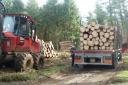 Extracting Norway spruce sawlogs on a private estate in West Sussex.