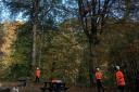 Friends of Deri Woods volunteers in the Llanfair Caereinion woods.