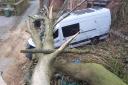 A van crushed by a fallen tree outside Chirk.