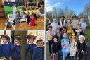 Various school nativities across Tynedale