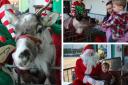 Kids in Linwood were treated to a festive visit from Santa and his reindeer