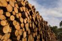 A tricky year in the firewood business