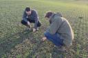 Scottish Agronomy has extensive trial plots across Scotland