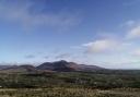 Woodland Trust creates largest native wood in Northern Ireland