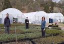 Volunteers isolate at Highlands ‘lost world’ to save thousands of young trees