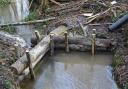 Natural flood prevention in Tudeley Woods