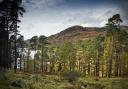 Galloway set to become Scotland's next National Park as consultation begins
