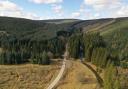 Exceptional southern Scotland forestry for sale for £14 million