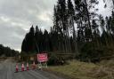 Kielder chiefs are currently assessing the damage caused by the storms (pictures: Forestry England)