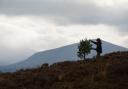 A NEW croft has been created in Moray for the first time since crofting was extended to the area in 2010  (Pic: Woodland Trust/John MacPherson)