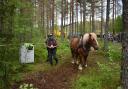 Horse logging was one of the show's 'mane' events