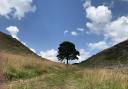 Sycamore Gap, Northumberland