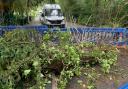 The fallen tree outside the entrance of Oak Lodge Care Home in Bitterne, Southampton