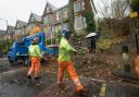 Thousands of trees were felled during the saga