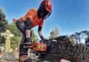 Anna Bartlett swapped hotels for chainsaws and she doesn't regret it for a moment