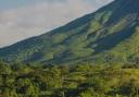 Ethical Forestry Ltd operated tree plantations in Costa Rica