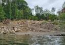 Image showing the felling of trees on the shoreline of Windermere