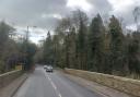 Trees felled were on land off Newbattle Road, in a conservation area