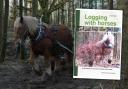 Horse logging remains an important practice in forestry.