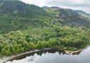 Rainforests also known as Atlantic woodland or Celtic rainforests are as important as the tropical forest (National Trust/PA)