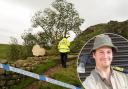 Our forester, inset, was falsely linked to the court case over the tree's felling