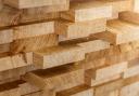 Only 9 per cent of homes in England are timber framed