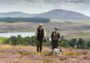 Roxburghe Estates comprises many rural businesses, including grouse shooting