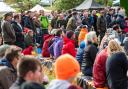 APF is the UK's largest forestry and tree-care event