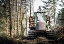 Sustainable and productive forestry creates a vibrant rural economy