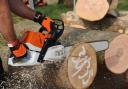 A 62.6 CC chainsaw, it is due to be launched in 2025