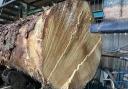 Our sawmill insider wrestled with some oak