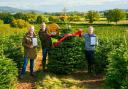 TV presenter Jules Hudson presenting the Christmas Tree Grower of the Year award to Stephen Reynolds and Phil Fourie of Evergreen Christmas Trees.