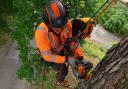 Husqvarna's ActSafe ICX is among its recent innovations