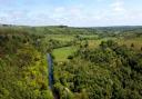 Land on the Rothbury estate in Northumberland