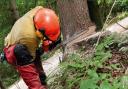 Public Liability Insurance for Arborists & Forestry Contractors