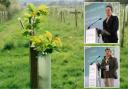 Speakers included forestry minister Mary Creagh, top, and Neil Macdonald  of Orchard Park Farm.