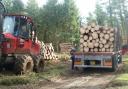 Extracting Norway spruce sawlogs on a private estate in West Sussex.