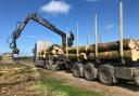 I order to keep my hand in the game and to maintain my enjoyment I have recently become a timber buyer, purchasing oversized loads of hardwood for firewood dealers